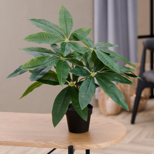 DAY KUNSTIG PLANTE LYKKEKASTANJE H40CM