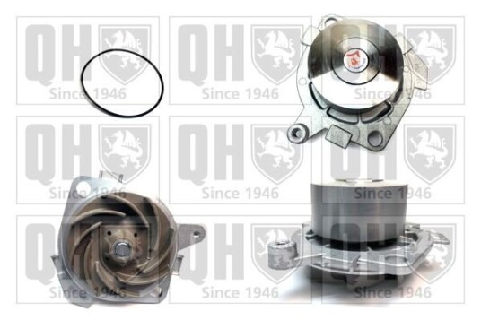 QUINTON HAZELL QCP3219 Vannpumpe QUINTON HAZELL QCP3219 Vannpumpe