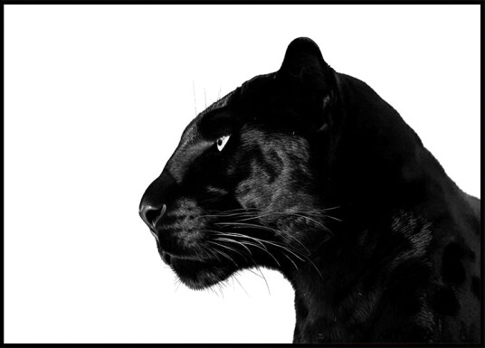 Posterbox Black Panther Profile Plakat Plakat / 30x40cm