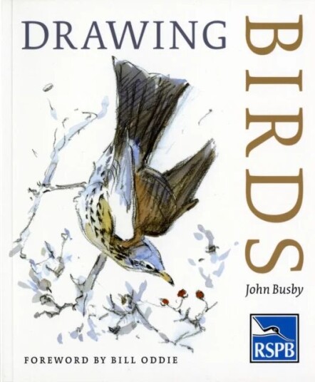 Drawing Birds Av John Busby