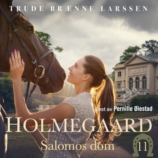Salomos dom av Trude Brænne Larssen