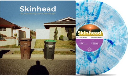 Skinhead Its A Beautiful Day What A Beautiful Day Vinyl