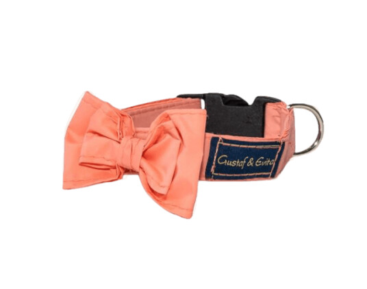 Hundhalsband med Rosett - Snabbknäppning/Ställbart Peach Med Rosett 20