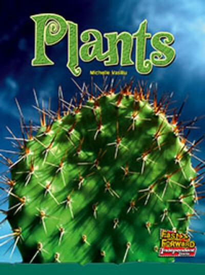 Plants Plants