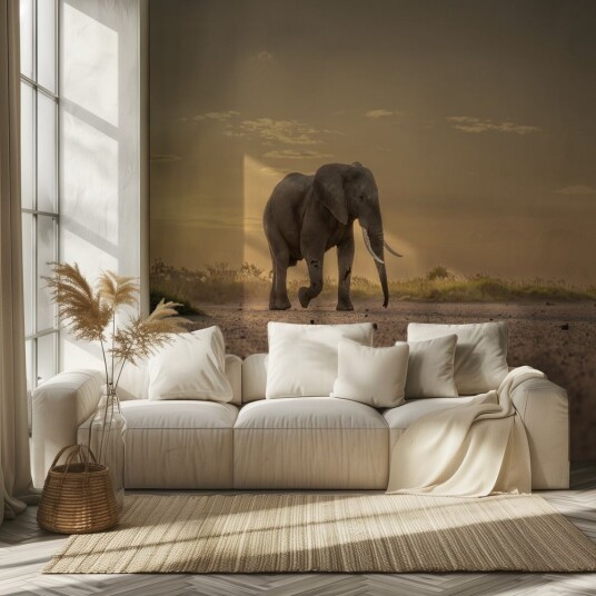 Tapet – Elefant i solnedgang Tapet – Elefant i solnedgang