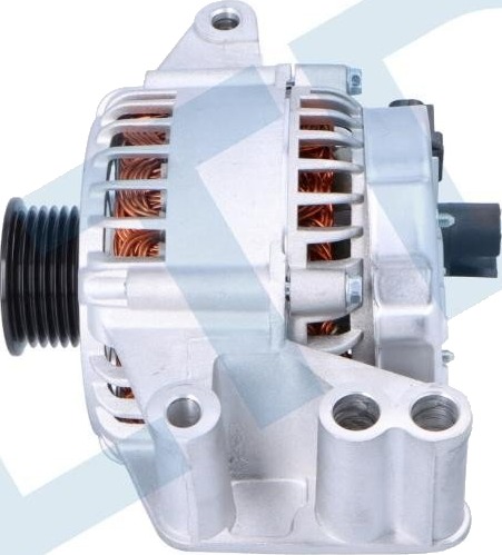 LTD LTD 1145715 Dynamo