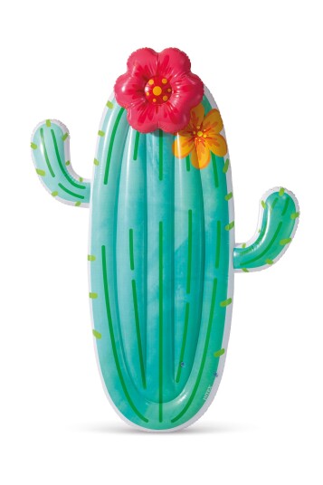 INTEX Cactus Float   58793