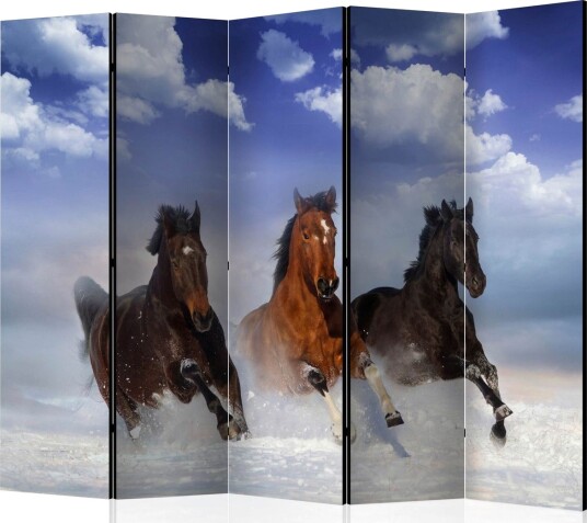 Romdeler - Horses in the Snow II 225x172 - Artgeist sp. z o. o.