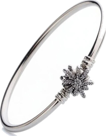 Pandora Dame Accessories Grå ONE SIZE,