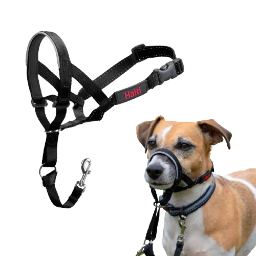 Halti Hund Hodebånd 31-40 cm for Trening og Kontroll Halti Hund Hodebånd 31-40 cm for Trening og Kontroll