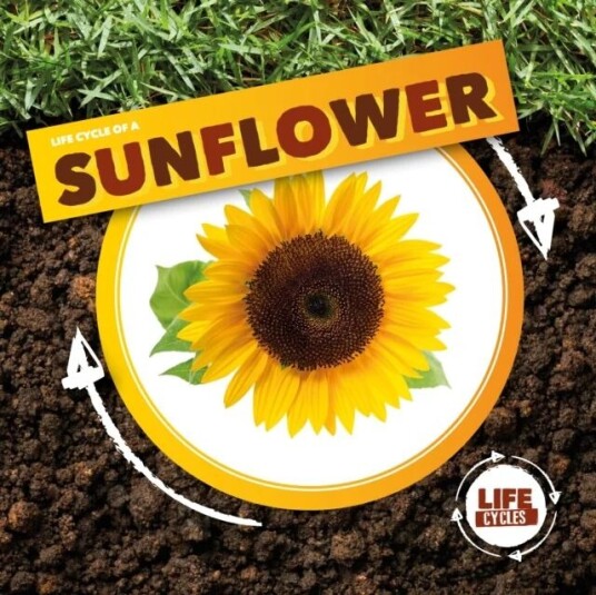 Life Cycle of a Sunflower av Kirsty Holmes