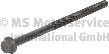 Stempelstang BF 20080393607 Stempelstang BF 20080393607
