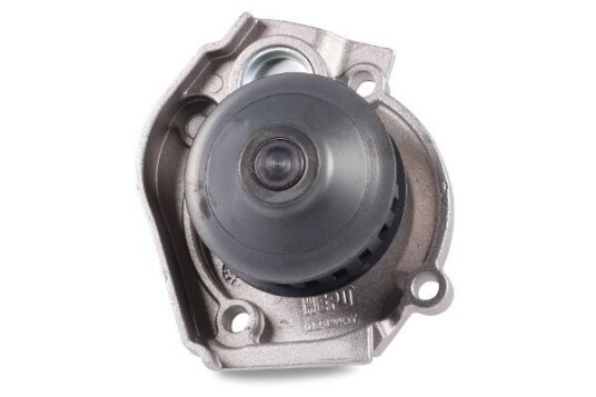 Vannpumpe HEPU P094