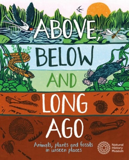 Above Below and Long Ago Animals plants and fossils in unseen places
