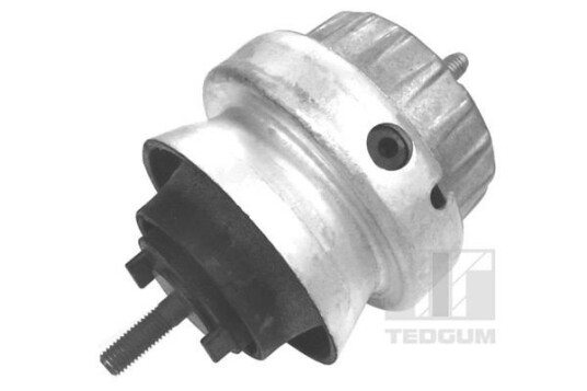 Motorfeste TEDGUM 00056444
