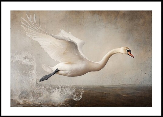 Graceful Flight Plakat / 21x30cm