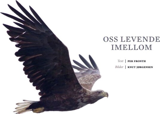 Oss levende imellom