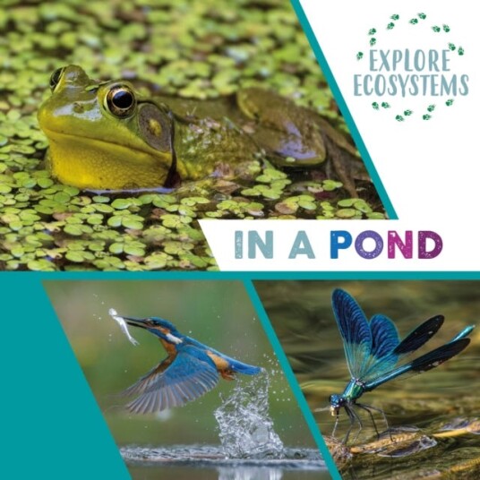 Explore Ecosystems: In A Pond Av Sarah Ridley