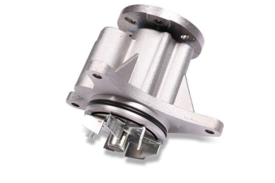 HEPU P809 Vannpumpe