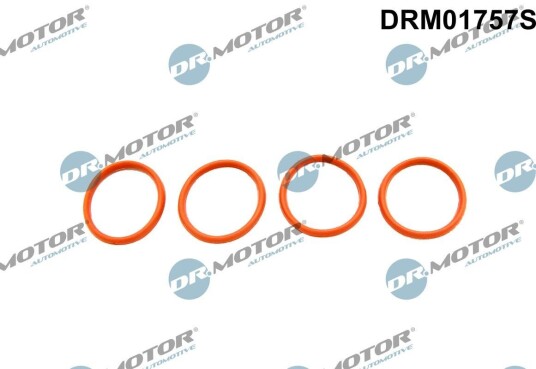 Pakkningssett innsugningsmanifold Dr.Motor Automotive DRM01757S