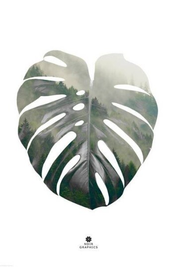 Malerifabrikken Poster Monstera leaf 1609084-01-48