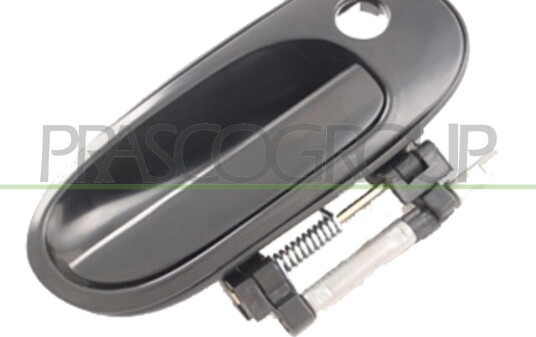 PRASCO DS4228001 Dørhåndtak PRASCO DS4228001 Dørhåndtak
