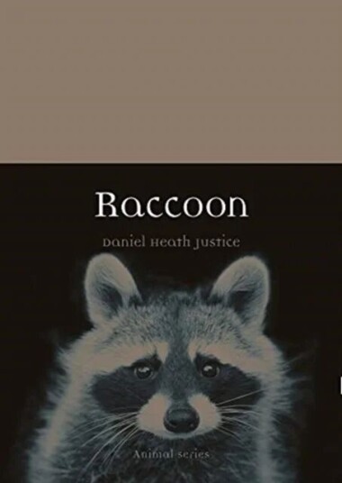 Raccoon Av Daniel Heath Justice Raccoon Av Daniel Heath Justice