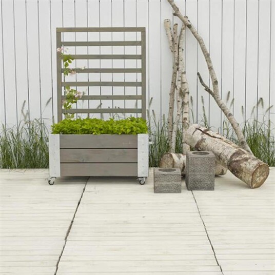 Blomsterkasse PLUS Cubic med espalier Gråbrun 87x50x130 cm