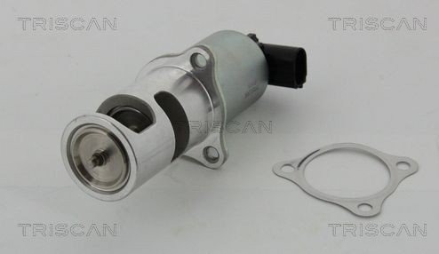 EGR-ventil TRISCAN 8813 24037 EGR-ventil TRISCAN 8813 24037