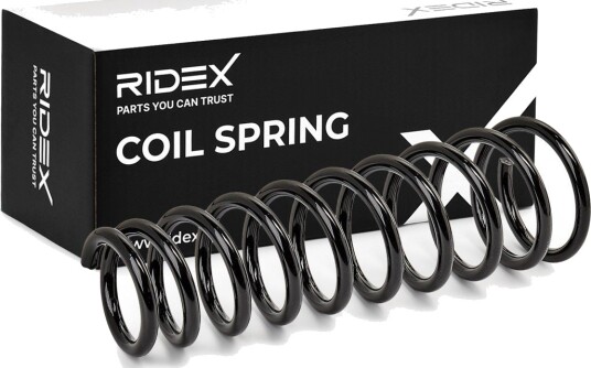 RIDEX 188C0273 Fjær