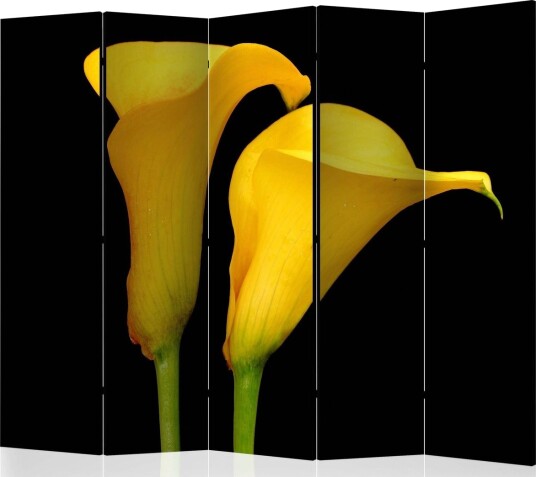 Romdeler - Two yellow calla flowers 225x172 - Artgeist sp. z o. o.