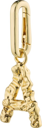 Pilgrim CHARM anheng A gullbelagt Pilgrim CHARM anheng A gullbelagt