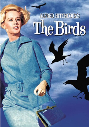 Birds DVD Birds DVD