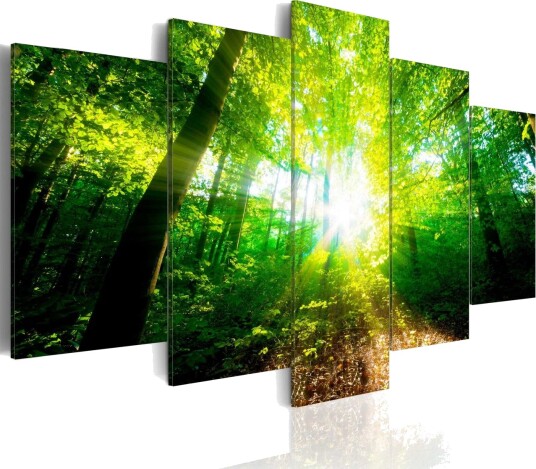 Bilde Wonderful Morning 100x50 Artgeist sp. z o. o.