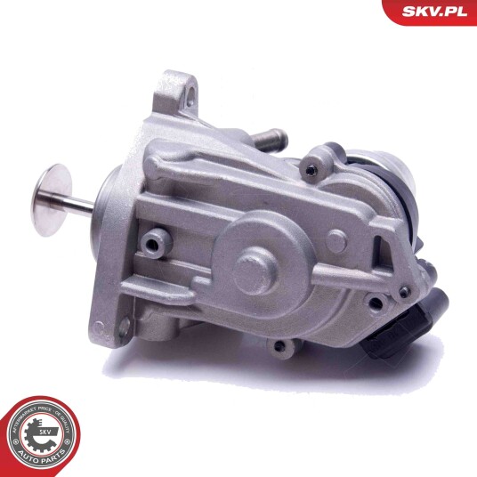 EGR-ventil ESEN SKV 14SKV233