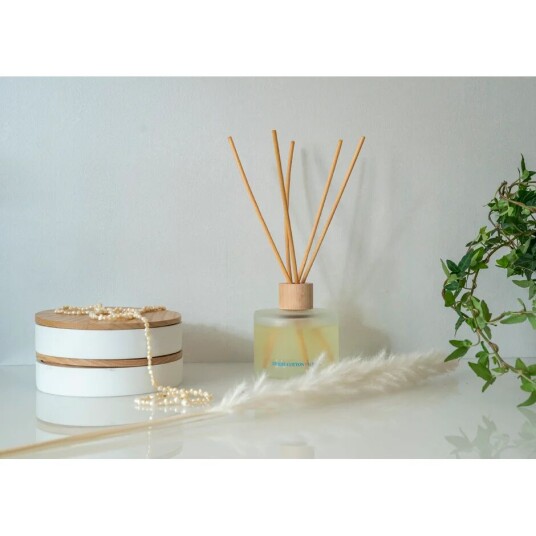 Washologi Reed Diffuser 225 ml Duftlys