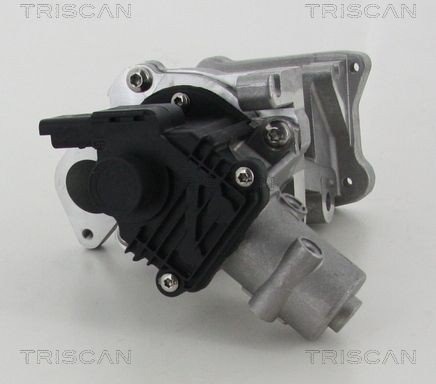 EGR ventil TRISCAN 8813 10007
