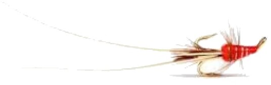 Fly-Store Frances rød/gull treble - 16
