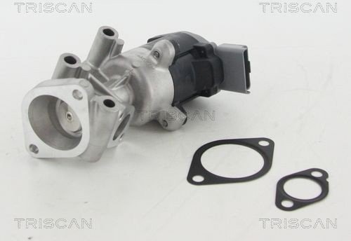 EGR ventil TRISCAN 8813 10009