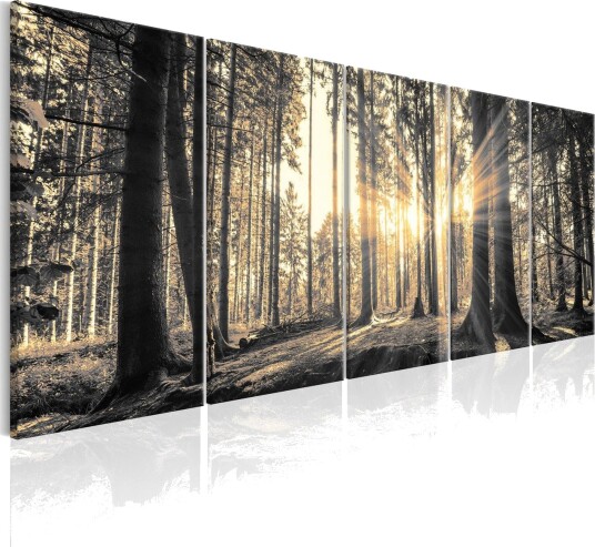 Bilde Shadow Guards 225x90 Artgeist sp. z o. o.