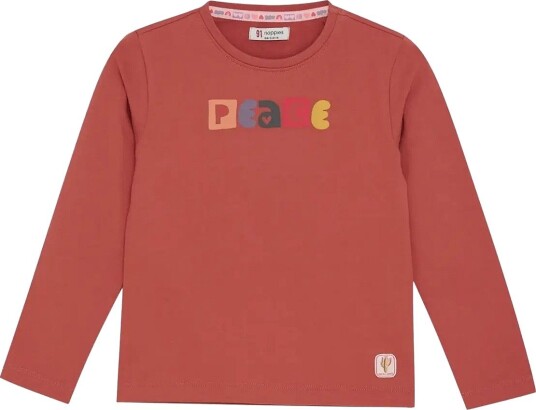 Noppies G Tee Philo Long Sleeve N115 TANDORI SPICE 98 Noppies G Tee Philo Long Sleeve N115 TANDORI SPICE 98