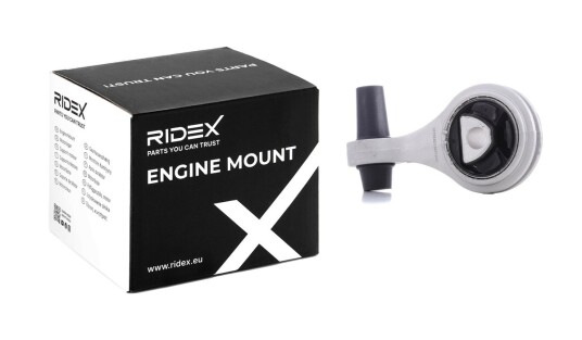 Motorfeste RIDEX 247E0134