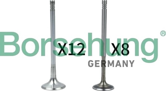 Borsehung B18636 Ventil Borsehung B18636 Ventil
