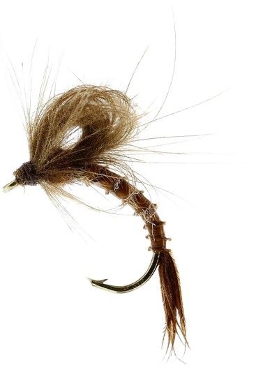 Flies Marginata Emerger Biot Brown #13 Brown