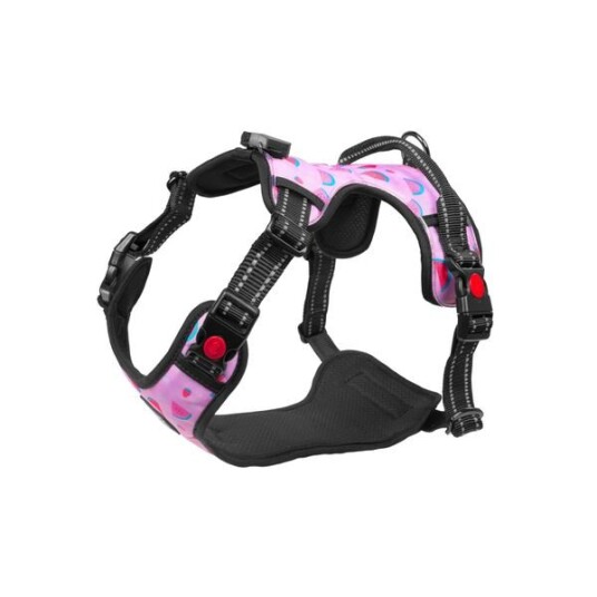 Sele Light5 Doggo Led Harness Pink L