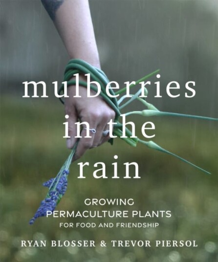 Mulberries in the Rain Growing Permaculture Plants for Food and Friendship