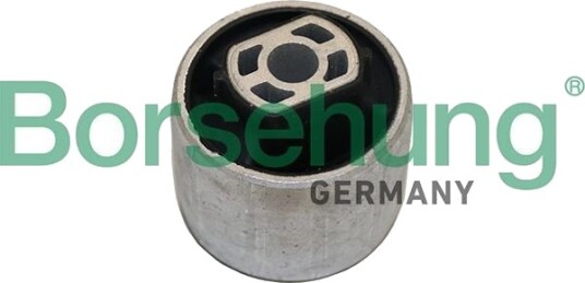 Borsehung B19064 Lagring, akselskaft