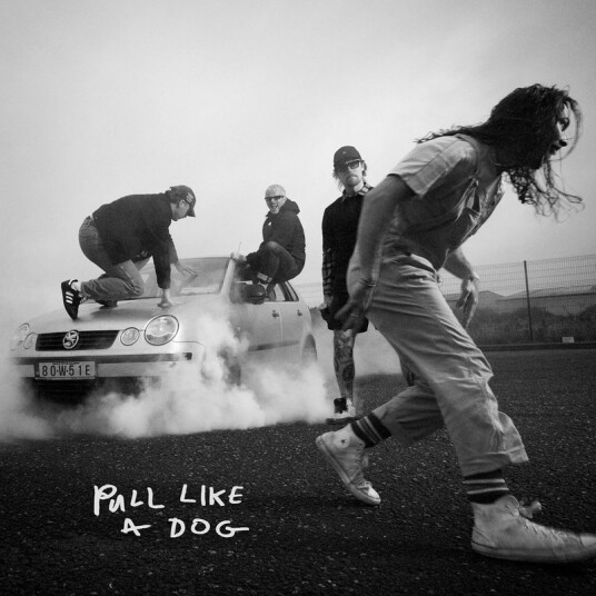 Scratch Pull Like A Dog CD