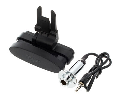 Taylor ES Go Pickup GS Mini Taylor ES Go Pickup GS Mini