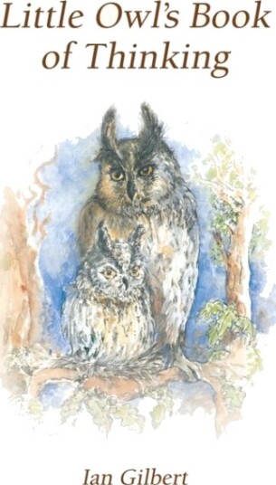 Little Owl's Book of Thinking